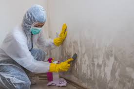  Van Vleck, TX Mold Removal Services Pros